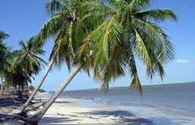 Imagem 6: Terreno grande Esquina em Praia do Abais - 600 metros da beira mar