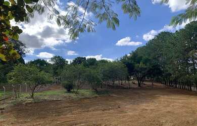 Imagem: O terreno possui 2.542m² de Área e está localizado em Porto