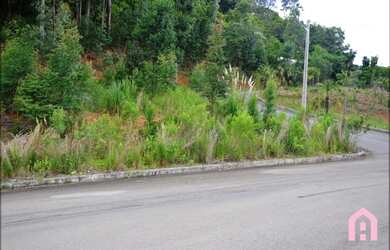 Imagem 4: CAXIAS DO SUL - Terreno Padrão - São Luiz