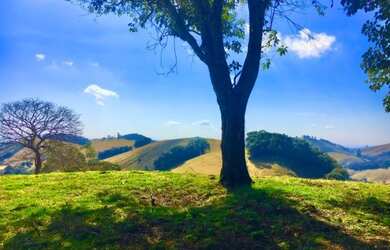 Imagem: Terreno Rural de 24.000 m² com vista espetacular