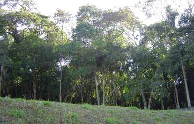Imagem 6: Sítio rural à venda, Biriçá, Bragança Paulista