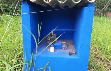Imagem 2: Área para Venda em Rio de Janeiro, Guaratiba Ilha da Guaratiba