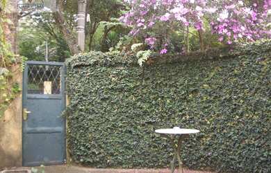 Imagem 9: Casa locação no Morumbi