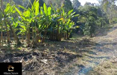 Imagem 8: Vendo Terreno no bairro Lagoa das Lontras em Miguel Pereira - RJ