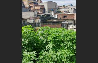 Imagem 11: Tereno para venda urgente no Jardim vista Alegre Embu das artes