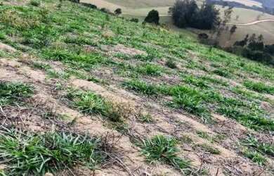 Imagem 11: Lote/Terreno para venda tem 500 metros quadrados em Usina - Atibaia -...