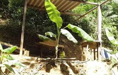 Imagem 8: Casa Casa com 2 dormitórios