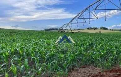 Imagem 4: Fazenda à venda, 15730000 m² por R$ 195.000.000,00 - Área Rural de...