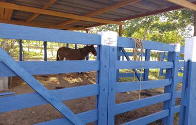 Imagem 6: Fazenda Minas Gerais Buritis
