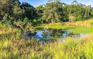 Imagem 7: Fazenda - 360 hectares - 74, 38 Alqueires