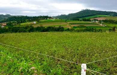 Imagem: 82COPORTUNIDADE EM LOTES DE 500M2 COTIA