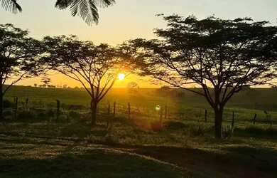 Imagem: O terreno possui 1000m² de Área e está localizado em Centro