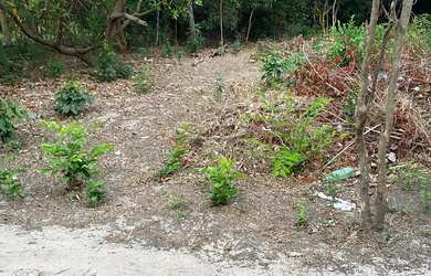 Imagem 12: VENDO TERRENO EM PANAQUATIRA