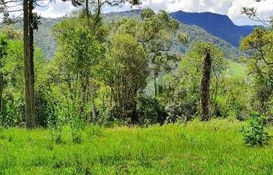 Imagem 5: Imóvel Rural/Terreno Rural