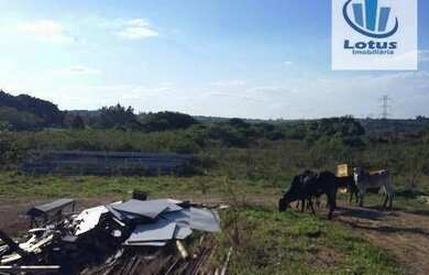 Imagem 5: Ótima área à venda, para condomínio ou galpões, Vargeão, Jaguariúna