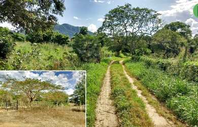 Imagem 5: Fazenda de 147 hectares a 105 km de Fortaleza, toda estruturada para agricultura e pecuári