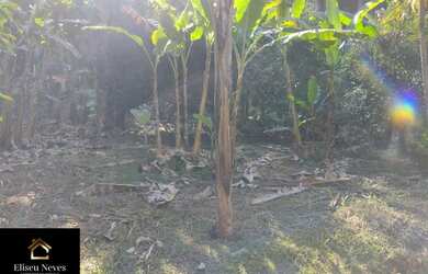 Imagem 12: Vendo Terreno no bairro Lagoa das Lontras em Miguel Pereira - RJ