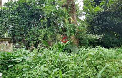 Imagem 4: Terreno à venda, 300 m² - Massaguaçu - Caraguatatuba/SP