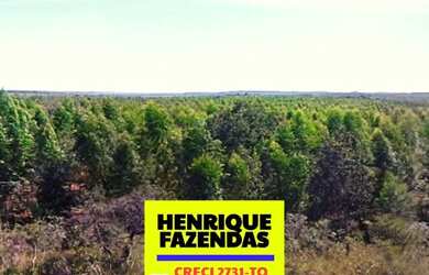 Imagem 4: Fazenda 2.899,16 hectares em Novo Acordo
