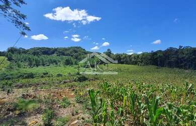 Imagem: O terreno possui 75.000m² de Área e está localizado em Nova