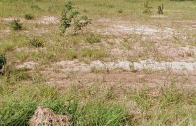 Imagem: O terreno possui 200m² de Área e está localizado em Centro