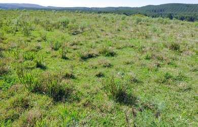 Imagem: A fazenda possui 300m² de Área e está localizado em Cambará