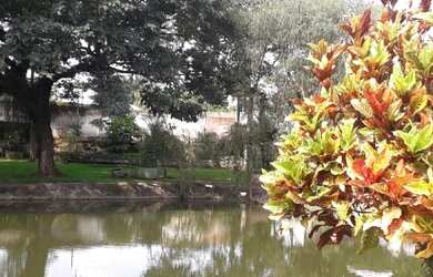 Imagem 3: Chácara à venda, 6 quartos, 1 suíte, 4 vagas, Jardim Santa Luzia -...