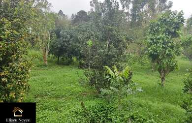 Imagem 12: Vendo Terreno no Barão de Javary em Miguel Pereira - RJ