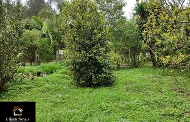 Imagem 8: Vendo Terreno no Barão de Javary em Miguel Pereira - RJ