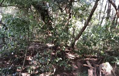 Imagem 11: Terreno 6 mil mts - Atibaia - Laranjal/Rio Acima - paisagem linda - Trocas