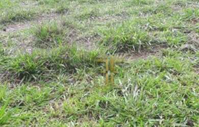 Imagem: A fazenda possui 193.600m² de Área e está localizado em