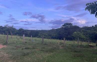 Imagem 11: Fazenda 25 Alqueires 39 km de Luziânia 145 km de Goiânia lugar maravilhoso