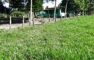 Imagem: A fazenda possui 395m² de Área e está localizado em Laje