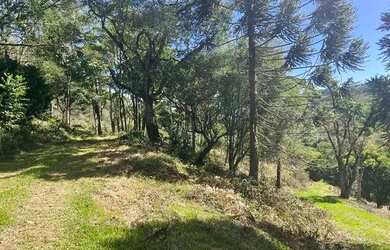 Imagem 7: Terrenos 20.000 m² - Santa Lucia do Piaí - Caxias do Sul