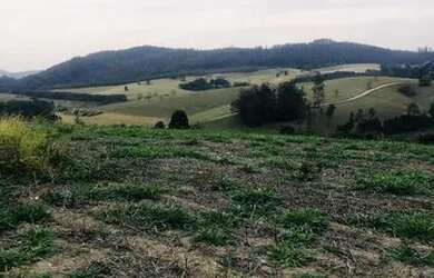 Imagem: O terreno possui 500m² de Área e está localizado em Usina