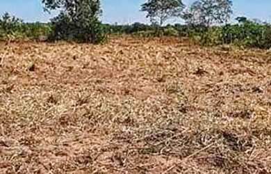 Imagem 9: Fazenda/Sítio/Chácara para venda tem metros quadrados em zona rural...
