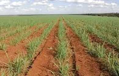 Imagem: A chácara possui 411.400m² de Área e está localizado em