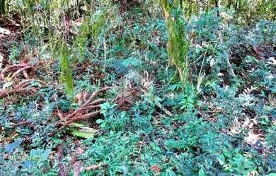 Imagem 4: A venda terreno de 21.299,70m² localizado no Parque dos Pinheiros em...