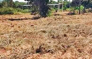 Imagem 10: Fazenda/Sítio/Chácara para venda tem metros quadrados em zona rural...