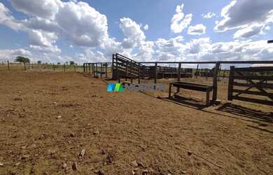 Imagem: A fazenda possui 1.000m² de Área e está localizado em Santa