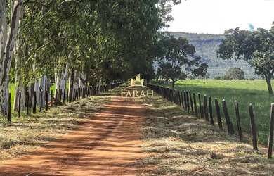 Imagem 12: Fazenda - 360 hectares - 74, 38 Alqueires