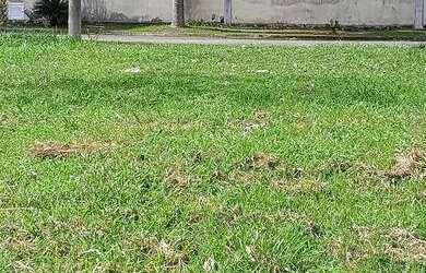 Imagem 5: Terreno de 414 m2 à venda na Ilha de Guaratiba - Rio de Janeiro - RJ