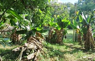 Imagem 12: terreno nivelado. 40m² de Área