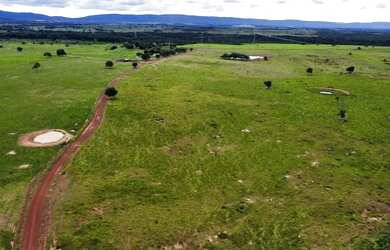 Imagem 5: Fazenda c/ 1.207he com cerca de 800he formados, Rosário Oeste-MT