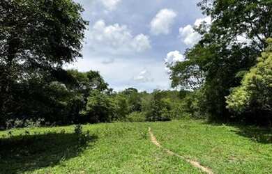 Imagem 4: Fazenda 25 Alqueires 39 km de Luziânia 145 km de Goiânia lugar maravilhoso
