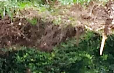 Imagem 3: Terreno em condomínio Itapeba