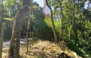 Imagem 4: Terreno para venda com 787 metros quadrados nas Braunes