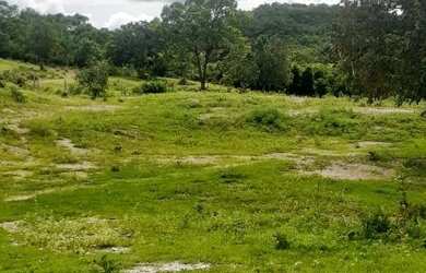 Imagem: A fazenda possui 115192m² de Área e está localizado em Itapuranga