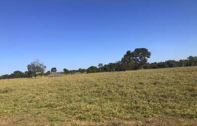 Imagem 7: TITULO VENDO FAZENDA PECUARIA NO VALE DO ARAGUAIA 6130