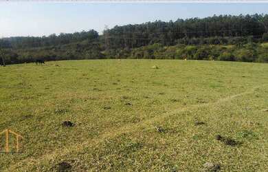 Imagem 4: Área Rural à venda, 128986 m² por R$ 3.869.580 - Distrito Industrial do Lageado - Salto/SP